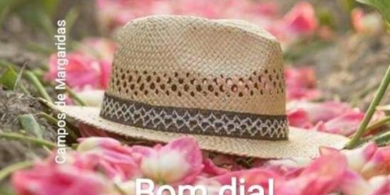 Imagem do grupo de WhatsApp Grupo de mensagens de bom dia