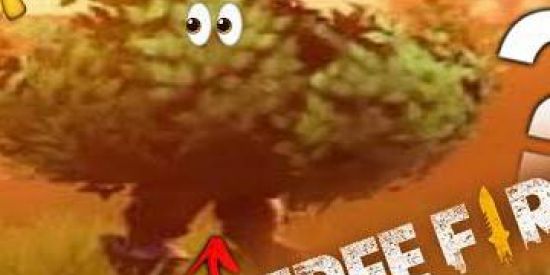 Imagem do grupo de WhatsApp Recrutamento Free Fire Feminino