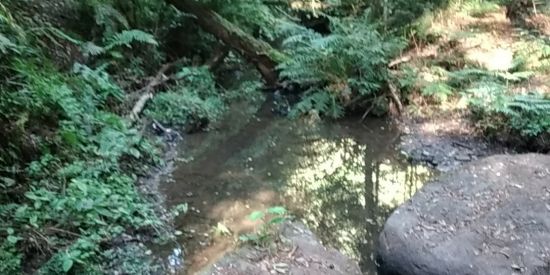 Imagem do grupo de WhatsApp Galera da pesada