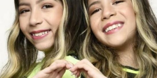 Imagem do grupo de WhatsApp Fã clube PLANETA DAS GÊMEAS