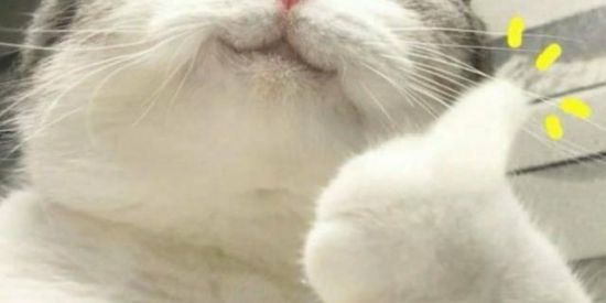 Imagem do grupo de WhatsApp ✌️ⵠᗰⲒⲌᗩᗪᗴⲊ✌️