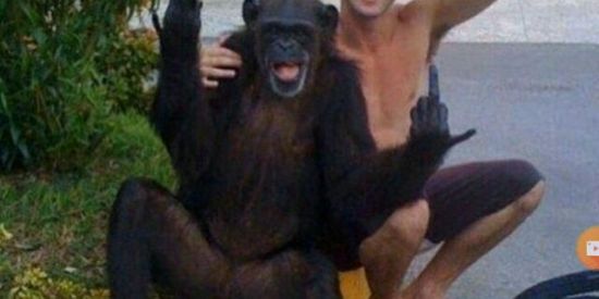 Imagem do grupo de WhatsApp TROPA DO RATAO 🖐️😎