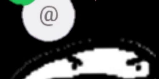 Imagem do grupo de WhatsApp PODE TUDO AQUI 🧐