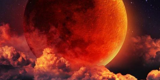 Imagem do grupo de WhatsApp Novas amizades 🌙