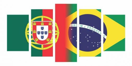 Imagem do grupo de WhatsApp Amizade Portugal e Brasil