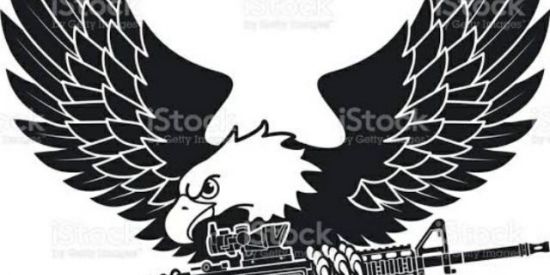 Imagem do grupo de WhatsApp ÁGUIA CARECA