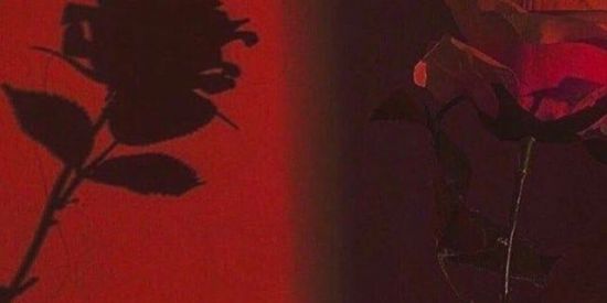 Imagem do grupo de WhatsApp 🍒 The Wild Cats 🍋