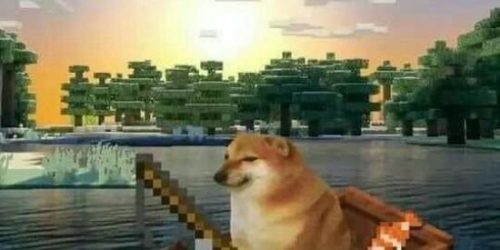 Imagem do grupo de WhatsApp ✨ RETARDADOS MENTAIS ✨