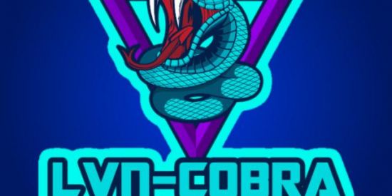 Imagem do grupo de WhatsApp RECRUTAMENTO LVN