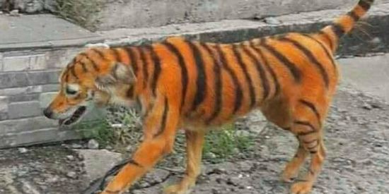 Imagem do grupo de WhatsApp GP DE AMIZADES😈