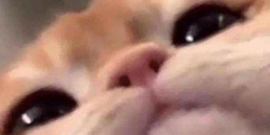 Imagem do grupo de WhatsApp •S H I T P O S T • 2 0 2 1•