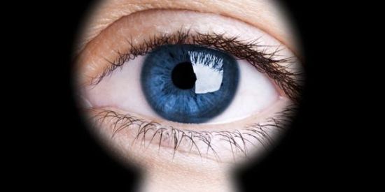 Imagem do grupo de WhatsApp 365 DIAS ONLINE