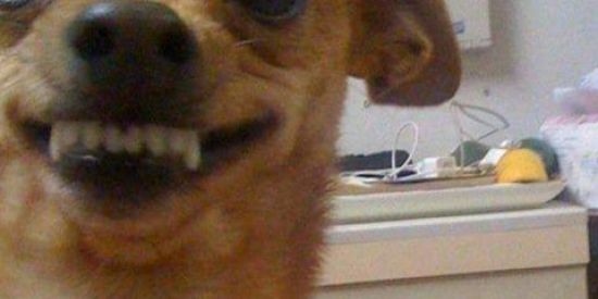 Imagem do grupo de WhatsApp FDS