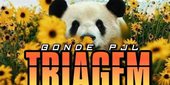 Imagem do grupo de WhatsApp ❶Triagem yellow panda ♚ρ'jl♚