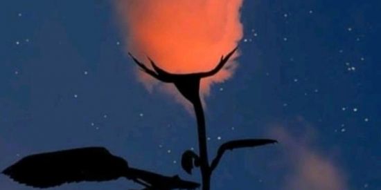 Imagem do grupo de WhatsApp Amizades