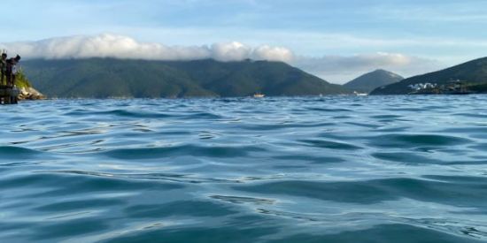 Imagem do grupo de WhatsApp Vamos nos ajudar 👏🏼👏🏼