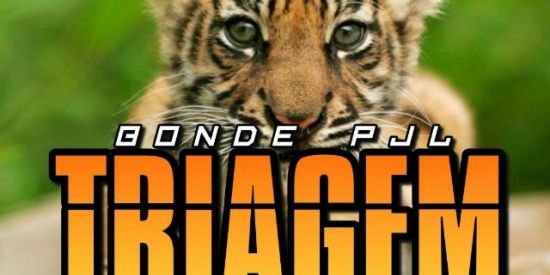 Imagem do grupo de WhatsApp ⚜️Triagem ⚜️ ♚ρ'jl♚