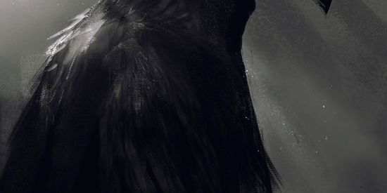 Imagem do grupo de WhatsApp Dark Crows𓅂