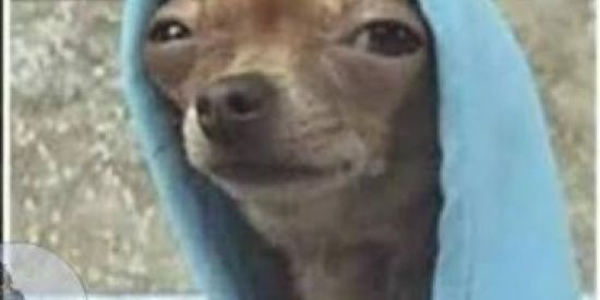 Imagem do grupo de WhatsApp 😎🤏🏼figurinhas e bate papo😎👍