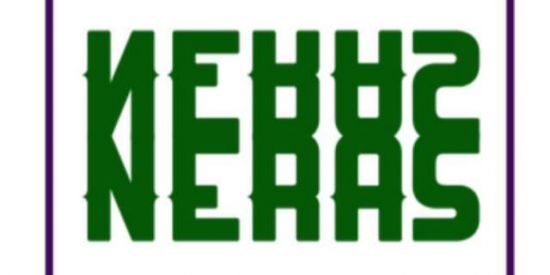 Imagem do grupo de WhatsApp Neras web