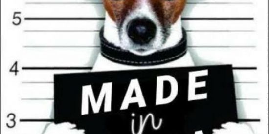 Imagem do grupo de WhatsApp MADE IN ZOEIRA 🤩