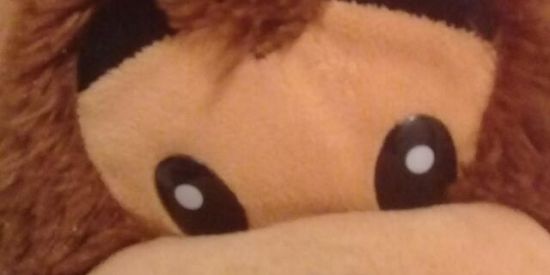 Imagem do grupo de WhatsApp GANGUE DOS GINOMIOS