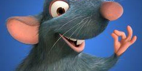 Imagem do grupo de WhatsApp ꧁۞fᎪᏟᏟ ᎠᎾ ᏒᎪᏆᎾᎾ۞꧂