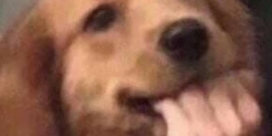 Imagem do grupo de WhatsApp Amizade