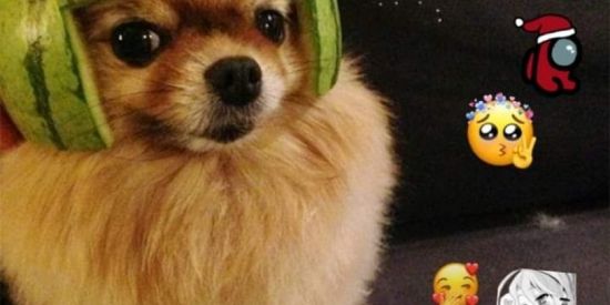 Imagem do grupo de WhatsApp Figuras