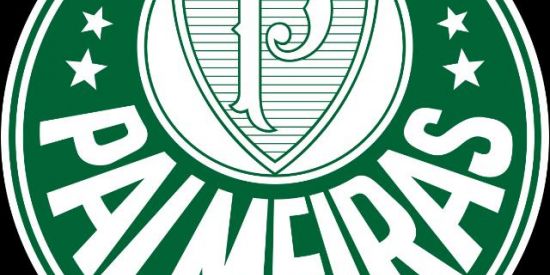 Imagem do grupo de WhatsApp SÓ PALESTRINOS 💚💚