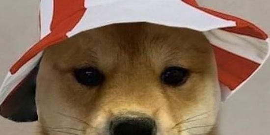 Imagem do grupo de WhatsApp Vm jg?