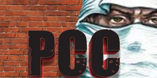 Imagem do grupo de WhatsApp Comando tudo 2