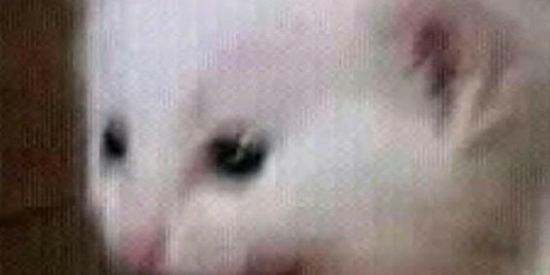 Imagem do grupo de WhatsApp IMPÉRIO DAS FIGURINHAS 👑🌚