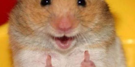 Imagem do grupo de WhatsApp Carnaval 1990