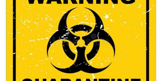 Imagem do grupo de WhatsApp QUARENTENA 😈☠️