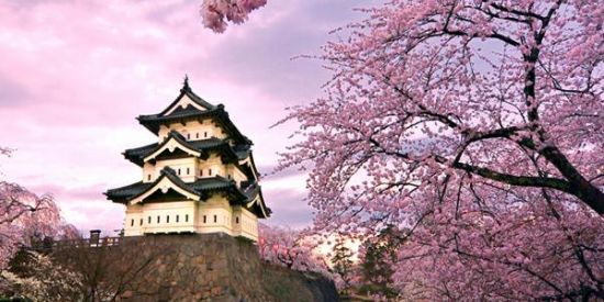 Imagem do grupo de WhatsApp [ 感謝 ] 🍃