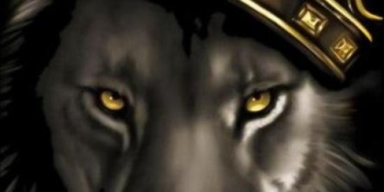 Imagem do grupo de WhatsApp SHIT POSTS