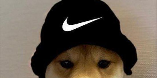 Imagem do grupo de WhatsApp melhores webs AMIGOS