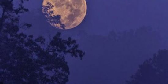 Imagem do grupo de WhatsApp FRIENDZONE