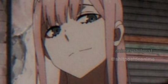 Imagem do grupo de WhatsApp SHITPOST🚩