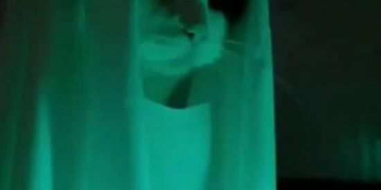 Imagem do grupo de WhatsApp 🌈ᴘᴀʀᴀɪsᴏ ᴅᴀs ғɪɢᴜʀɪɴʜᴀs🔥✨