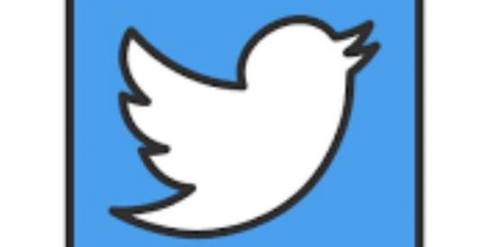 Imagem do grupo de WhatsApp Engaja Twitter✨