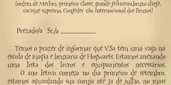 Imagem do grupo de WhatsApp chapeu seletor