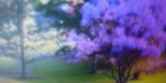 Imagem do grupo de WhatsApp ROTA 2021!