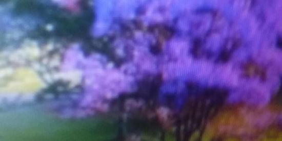 Imagem do grupo de WhatsApp AMIGOS DE VERDADE!🥰😍😍!