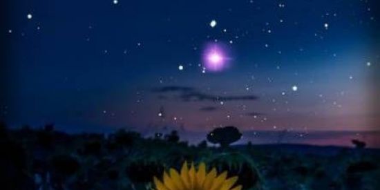 Imagem do grupo de WhatsApp 𖣔A͜͡m͜͡i͜͡z͜͡a͜͡d͜͡e͜͡s͜͡𖣔