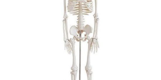 Imagem do grupo de WhatsApp 🌸🌴M∆C∆C❍↯᭄🌴