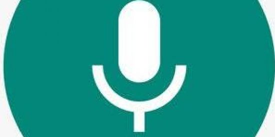 Imagem do grupo de WhatsApp Só áudio cortado