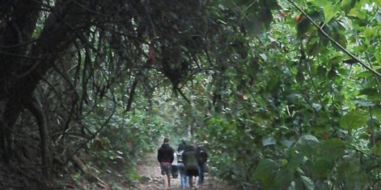 Imagem do grupo de WhatsApp ⚔️RPG online⚔️