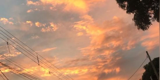 Imagem do grupo de WhatsApp Só de marola👑🤪